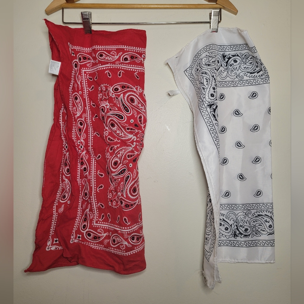Bundle 2 bandanas